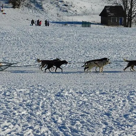 Apartamento Panorama 31c 4i